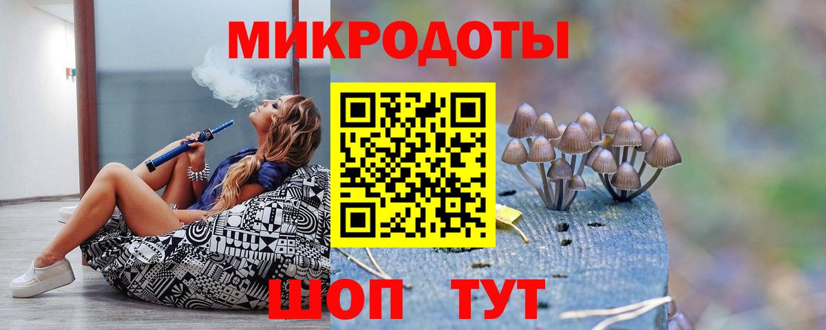 Апатиты  Галлюциногенные грибы Psilocybine cubensis  Вход с VPN 